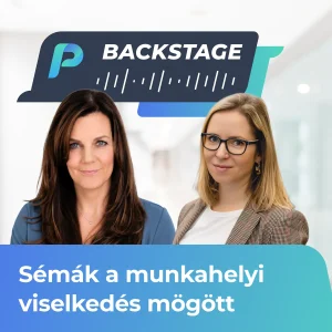 Munkahelyi sémák: rejtett mintázatok a döntéseink és reakcióink mögött